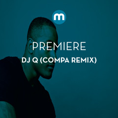 Premiere: DJ Q 'Trust Again' ft Louise Williams (Compa remix)