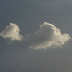 Quand Elles sont Arrivées