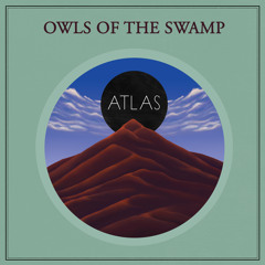 Owls of the Swamp - Shapeshifter