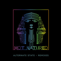 Hot Natured feat. Róisín Murphy - Alternate State (Remixes)