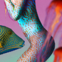 Mermaid of Salinas - Album Version