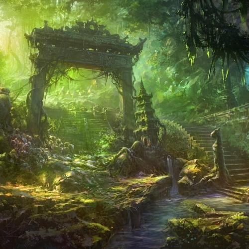 Amazonia VIP