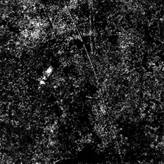 D/A A/D - The Signal Decay