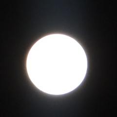 Free Fall :featuring Nathan"Flutebox" Lee and Prithpal Rajput (Tabla)