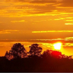 New private playlist