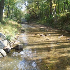 Deep River Song by Carrie P 31614