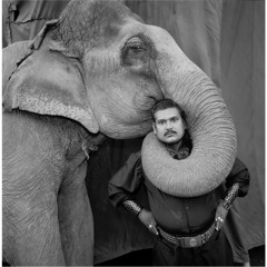 Zookeeping 102