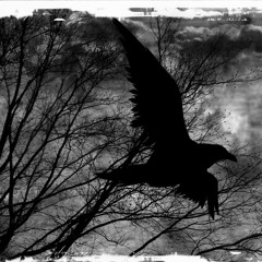 Blood of Christ: The Raven Song (1996)