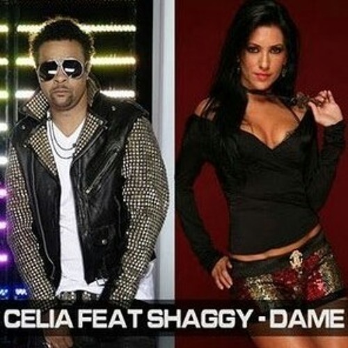 Shaggy Feat. Celia - Dame