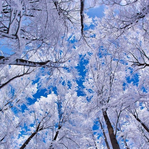 Progressive Breaks to Chilled House to Deep House Mix