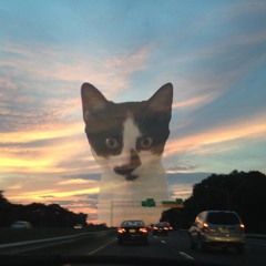 Field Recording: Wyckoff Post Office (Brooklyn)