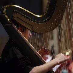 Tchaikovsky Waltz Of The Flowers