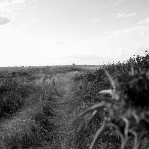 When Things Aren't Real