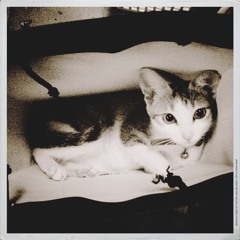 Electronicoups "Attach!!! Kontroller!!! Attach!!! Super Extended Play (S.Ep.) [2014 sampler]