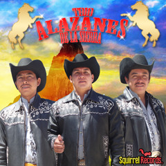 Los Alazanes de la sierra - Los 2 Fuimos Culpables