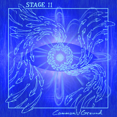 Stage 11