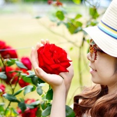 It Not Goodbye - Chuot Pham