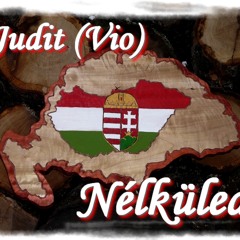 Judy - Nélküled (cover)