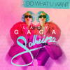Lady Gaga - Do What You Want (Solheiro Remix) (Free Download)