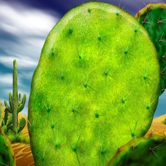 Cactus - Narine Dovlatyan, music & lyrics by Karen Grigoryan