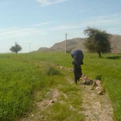 Hayedeh - Bahar Bahar / هایدە - بهار بهار