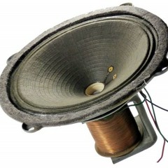 snugging rabbits on the floor