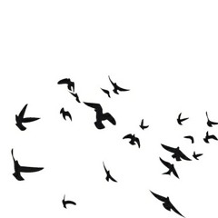 مقطع - من روحي يا رفيقة روحي