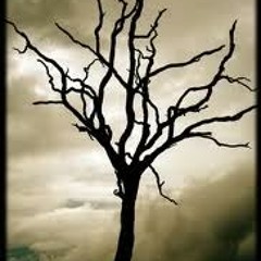 خداحافظ نسیمای غمگین من!-سید علی صالحی-دکلمه رضا پیربادیان