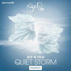 Aly & Fila - Laily (Photographer Remix)
