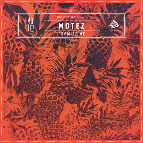 Motez - Promise Me EP [Teaser]