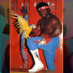 Shad - koko b ware ("strictly for my jeeps" dub)