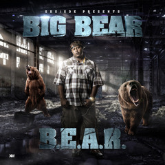 fuckem all FT BRIXX,MIC-E