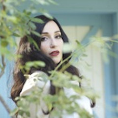 Search For The Light