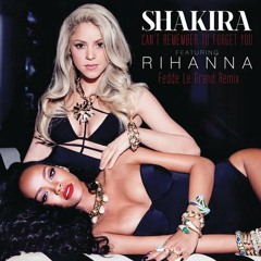 Shakira ft Rihanna - Can't Remember To Forget You (Fedde Le Grand Remix)
