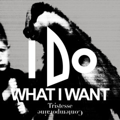 Tristesse Contemporaine - I Do What I Want (Vitesse Contemporaine Remix by Romain Turzi)