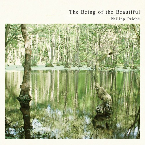 Cry (Steffen Kirchhoff Remix)