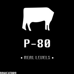 P-80 - Real Levels (Original Mix) [FREE D/L via RAW Records]