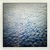 Artwork for rampue - Wilderness feat. Rosa Lux & I'm Not A Band (David Hasert rmx) (SNIPPET)