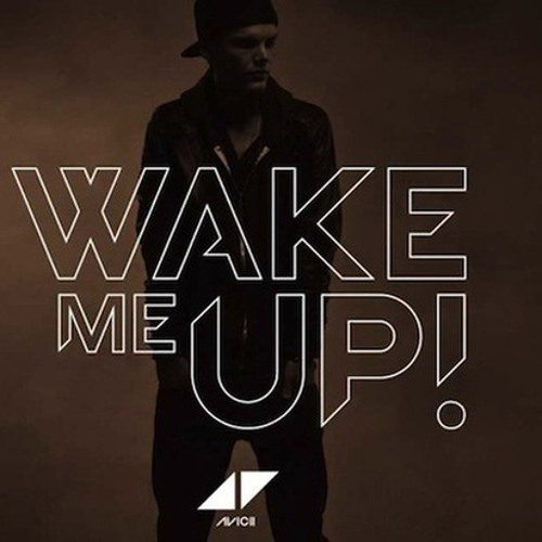 Avicii - Wake Me Up (ID remix)
