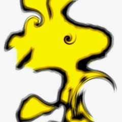 BDF