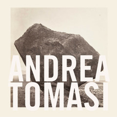 Andrea Tomasi - Honeybee