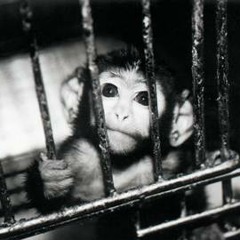 agonia agony αγωνία