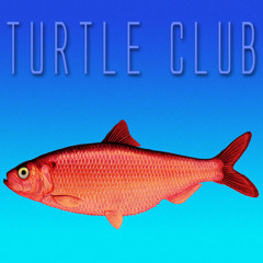 Red Herring (Original Mix)