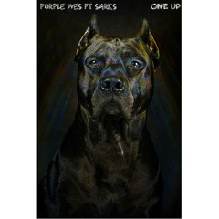 One Up // Featuring Sarkz