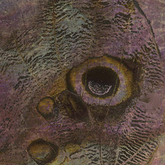 Only A Colour - EP (2012)