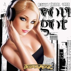 Funky Tribal Cats - You Got (Original "Cats" Mix)
