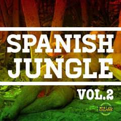 Spanish Jungle Vol.2 -MARKO MISLED SOUND-