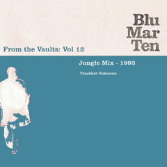 Blu Mar Ten - From the Vaults Vol 12 - Jungle Mix - 1993