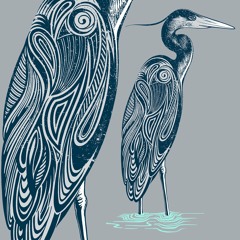 Ambit - Herons For Llama