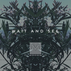 Wait And See
